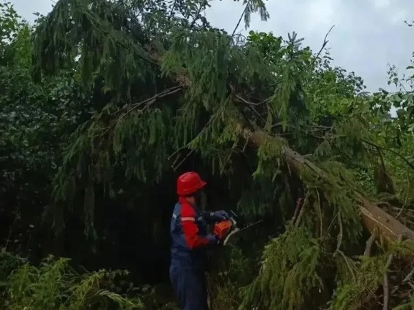 ������� �������: � ��������������� �������� ������� ������������� 95% ����������������